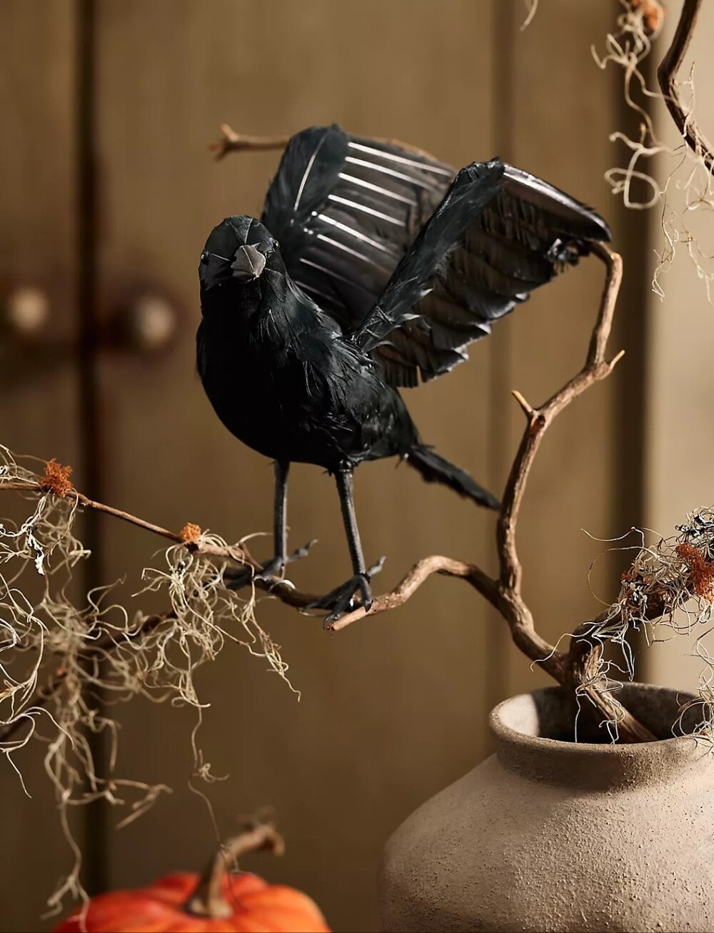 Anthropologie Feathered Crow Decorative Object